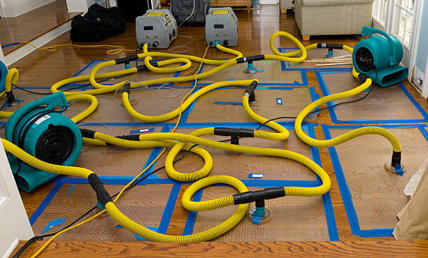 Professional Burst Pipe Water Damage technician working in Industry, PA